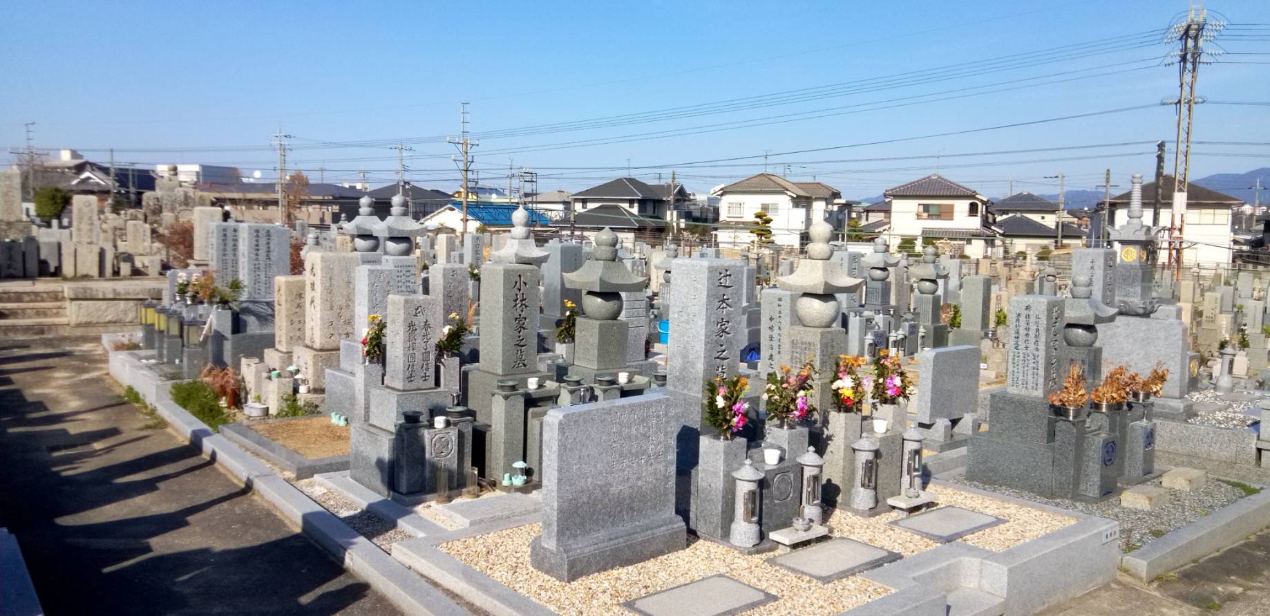 青空の下に整然と並ぶ日本の伝統的な和型墓石の風景