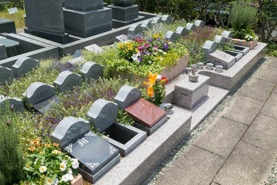 緑豊かな植栽と明るい花々に彩られた、永代供養を目的とした花壇式の墓