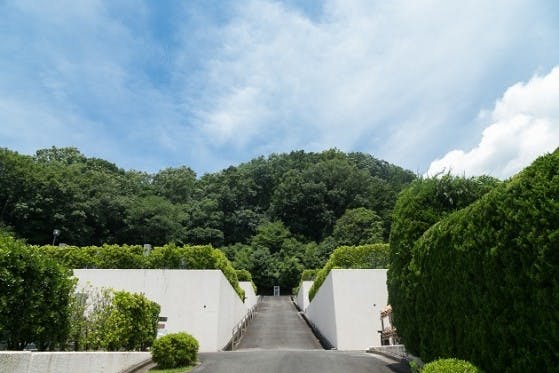 白い壁と高い生垣に囲まれた、青空へと続く霊園内の緩やかな坂道