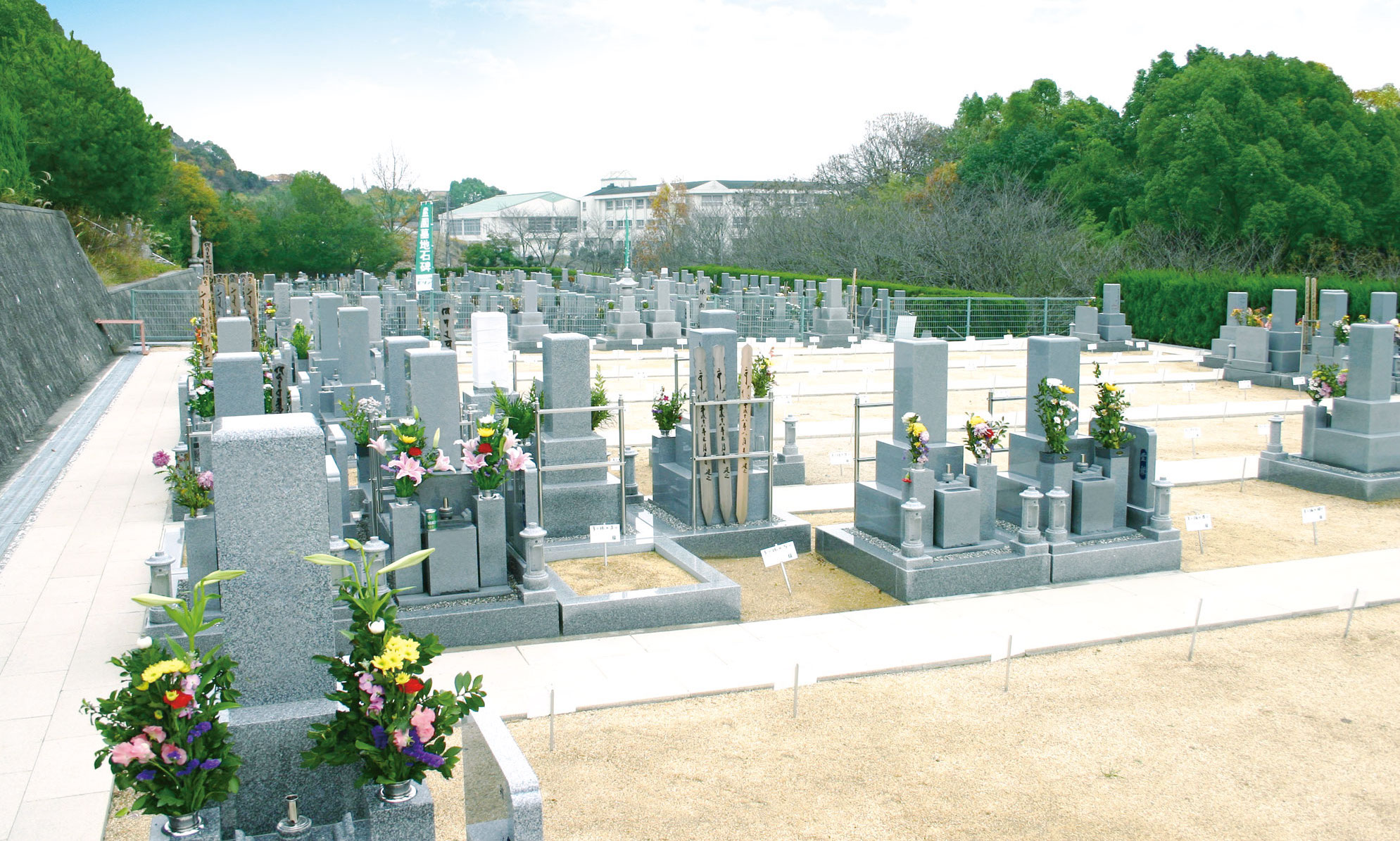 日当たりの良い開放的な墓地の全景と並んだ墓石