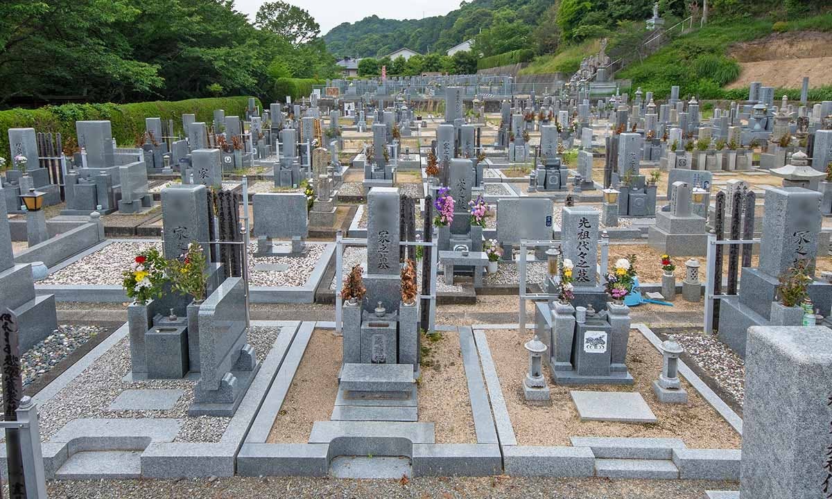 広い敷地を見渡す霊園の全景と手入れされた墓石