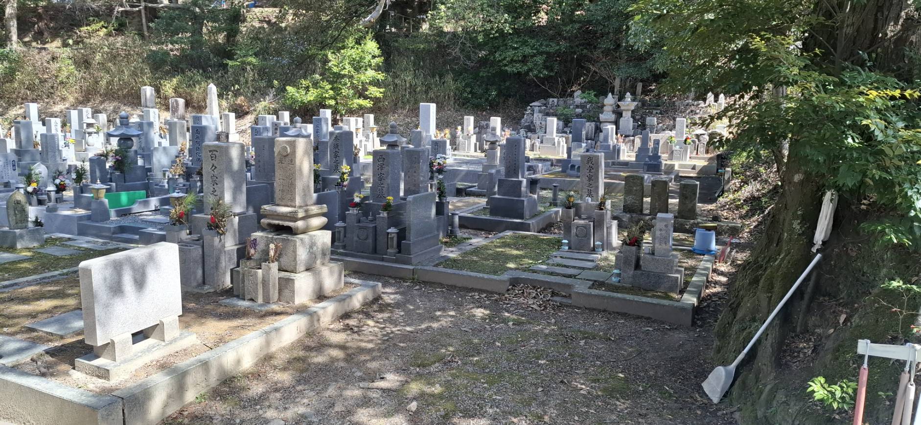 木陰から差し込む光に照らされた超善寺墓地の多様な墓石