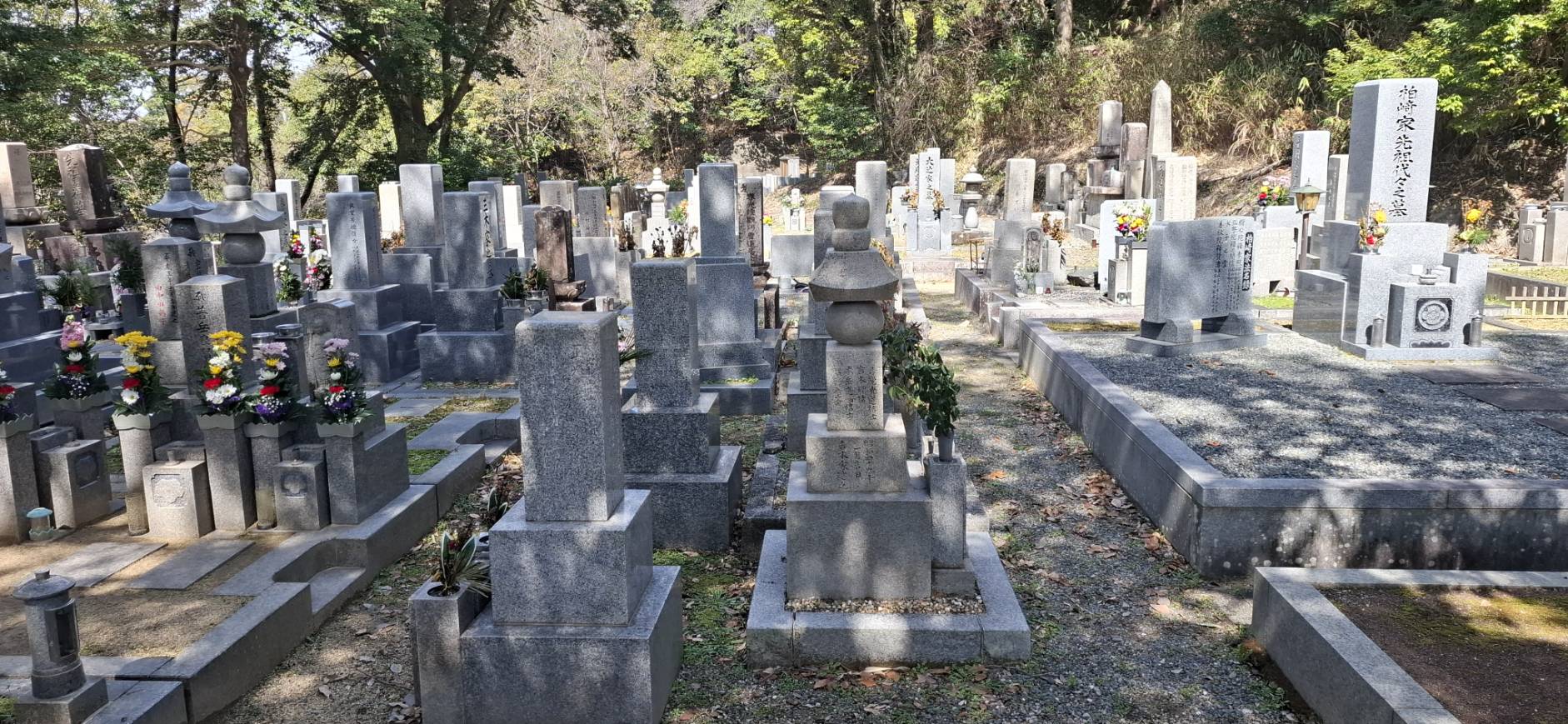 超善寺墓地に並ぶ多くの和型墓石と、中央に建つ供養塔