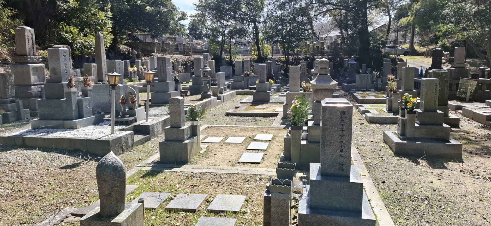 逆光の中に浮かび上がる超善寺墓地の墓石と石灯籠