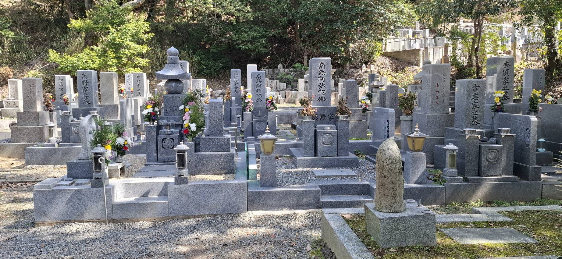 緑豊かな樹木を背景にした本源院の静かな墓地風景