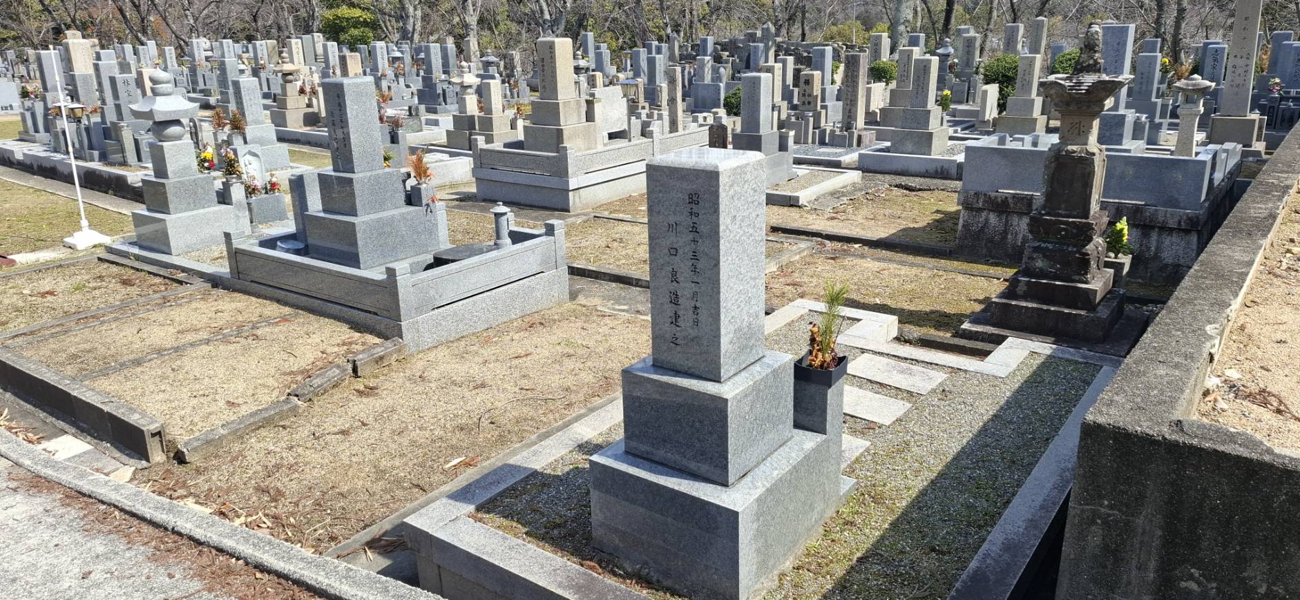 周囲にゆとりがある区画整理された平坦な墓地の景色
