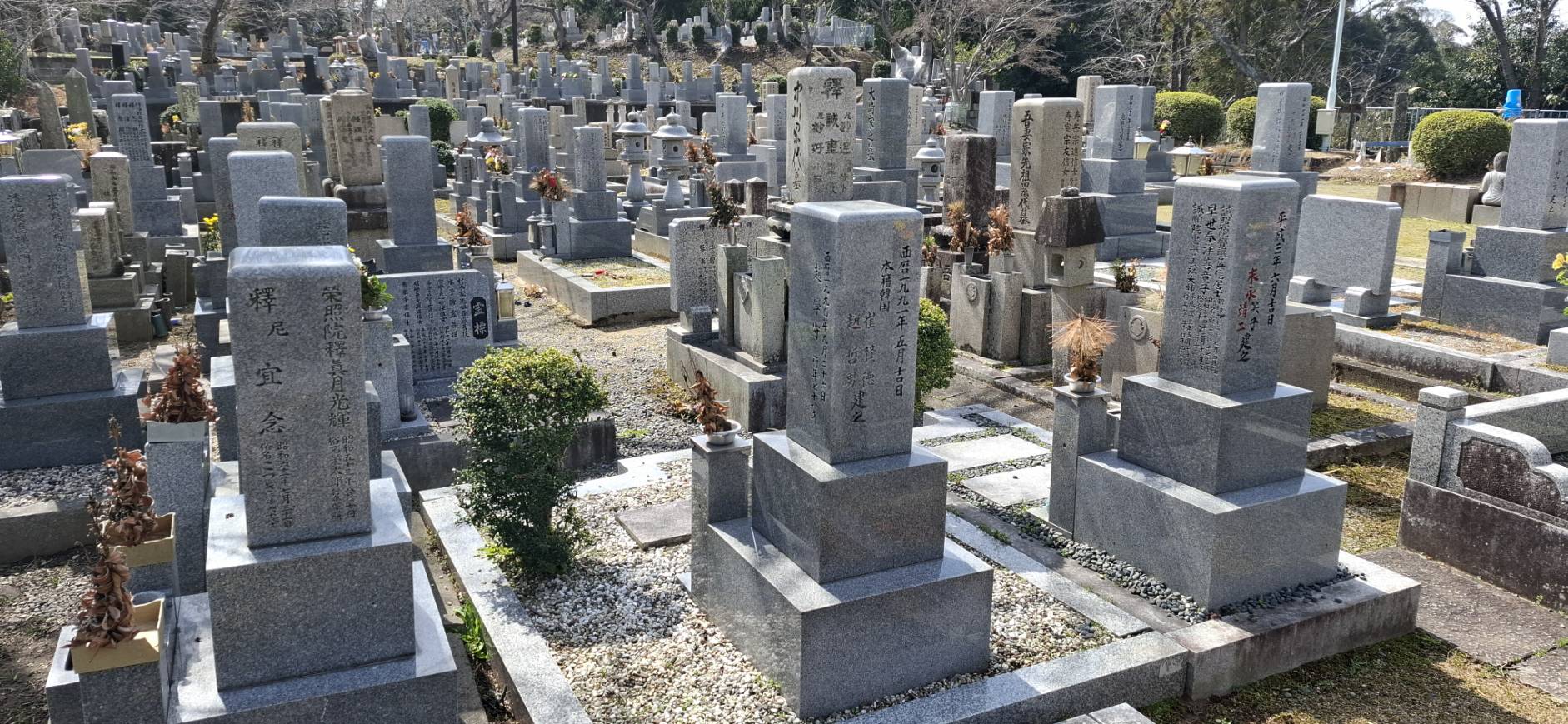 故人の法名や建立者が詳しく刻まれた墓石の側面と背面