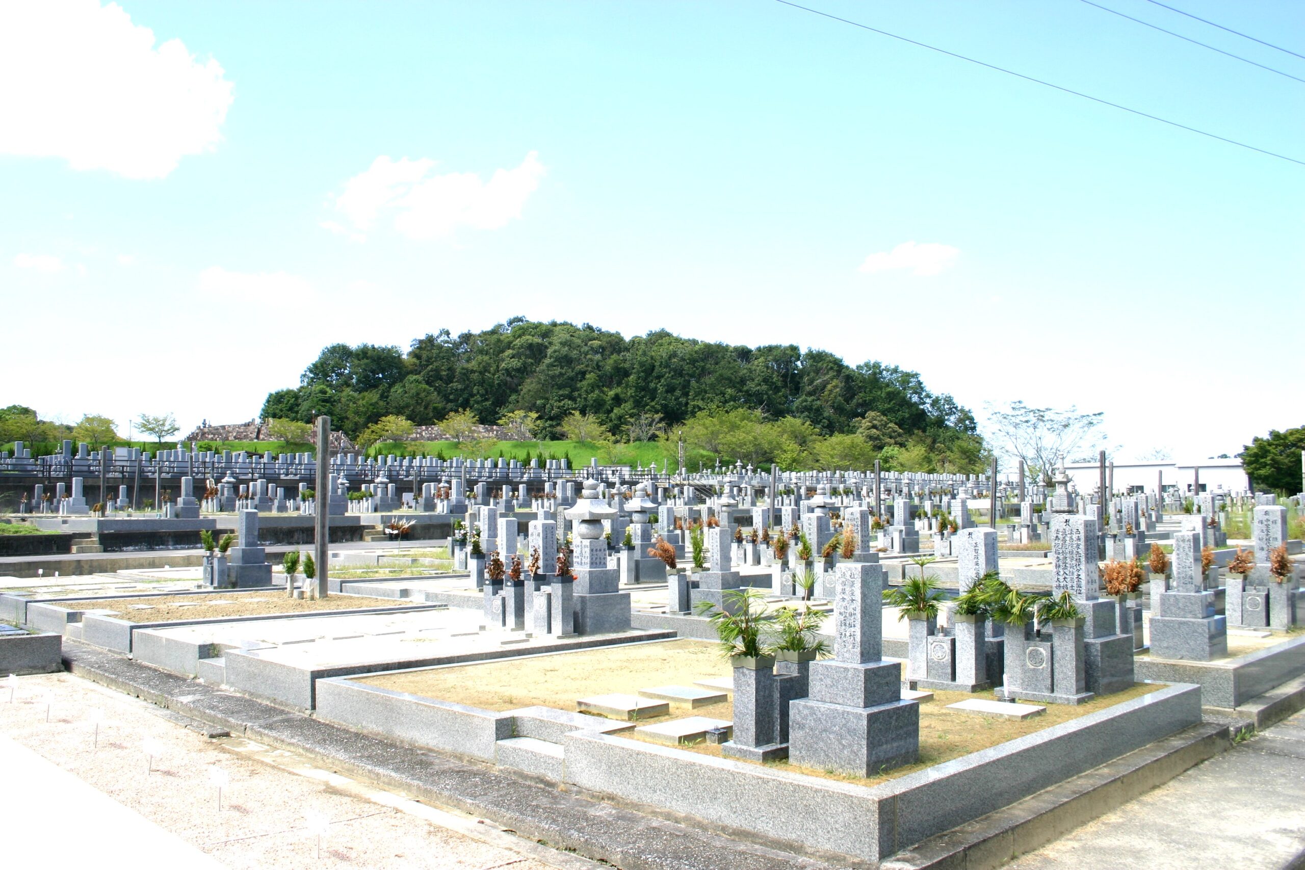 広大な敷地に整然と並ぶ聖徳寺墓地の石碑群