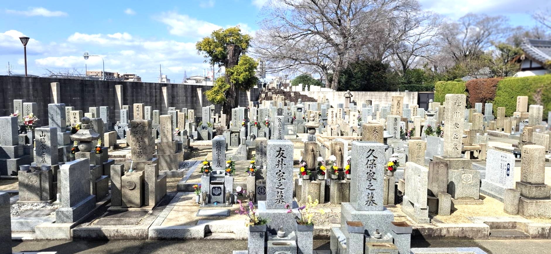 青空の下に整然と並ぶ本源院の伝統的な和型墓石群