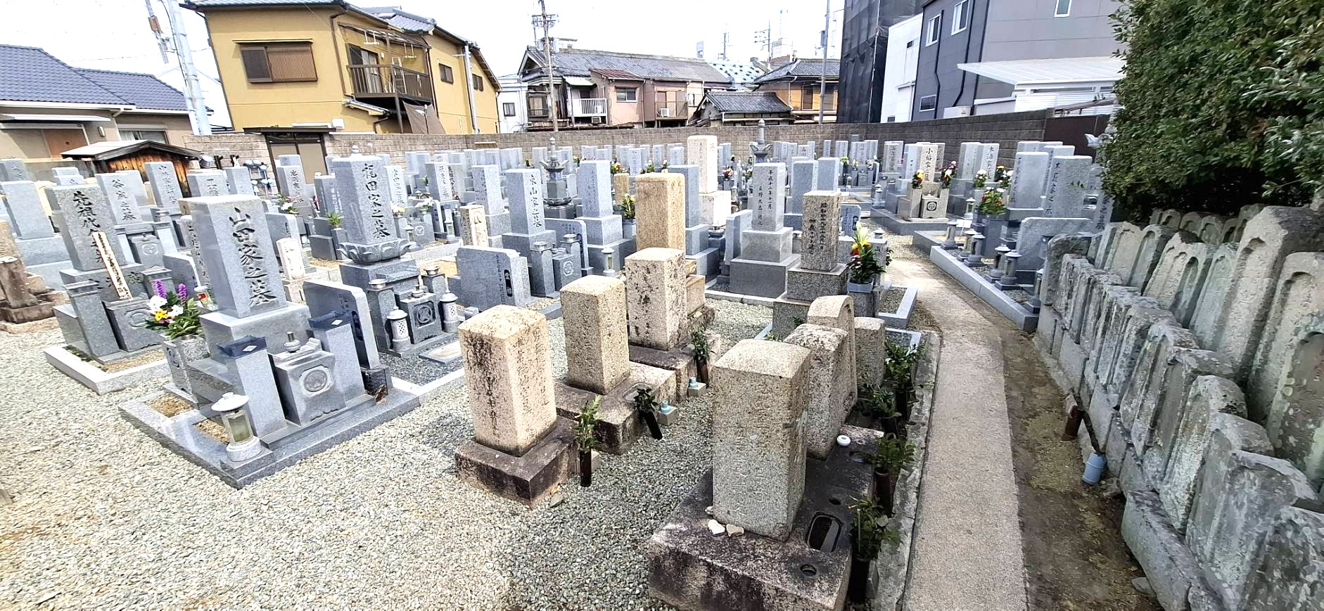 伝統的な和型墓石が並ぶ寺院墓地の風景
