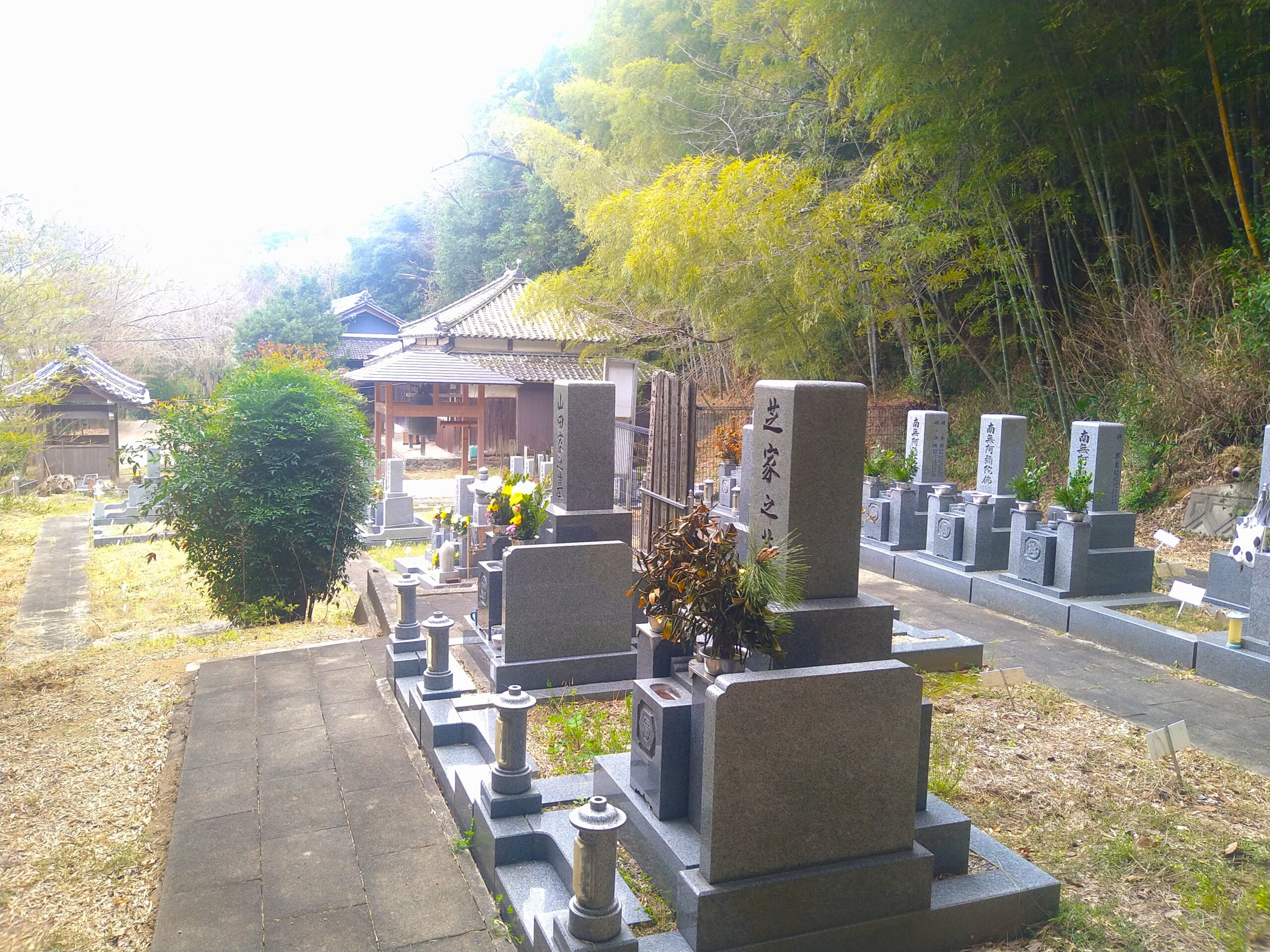 竹林に囲まれた寺院墓地と整然と並ぶ和型墓石の風景