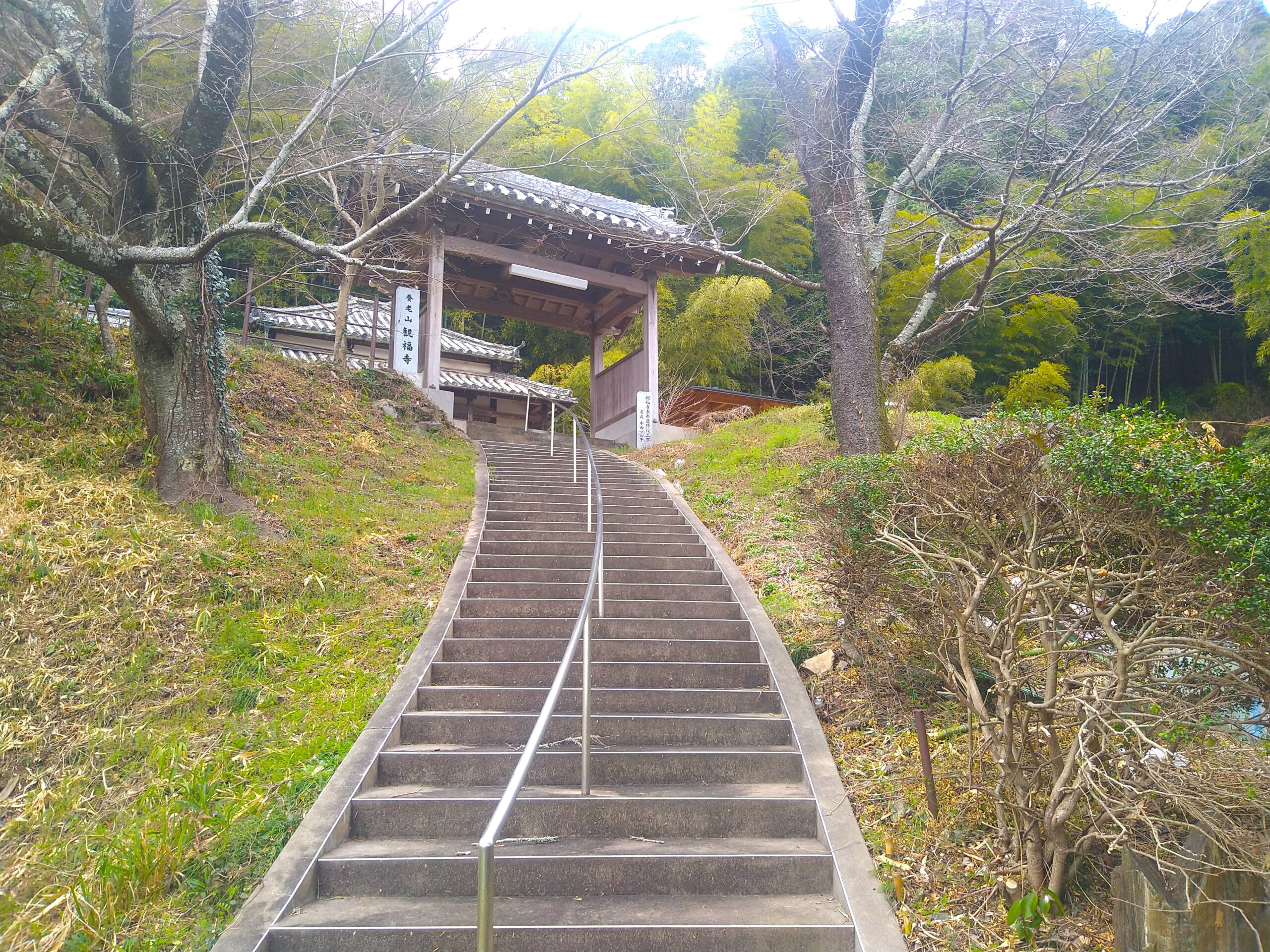 観福寺の山門へと続く手すり付きの緩やかな石段の参道