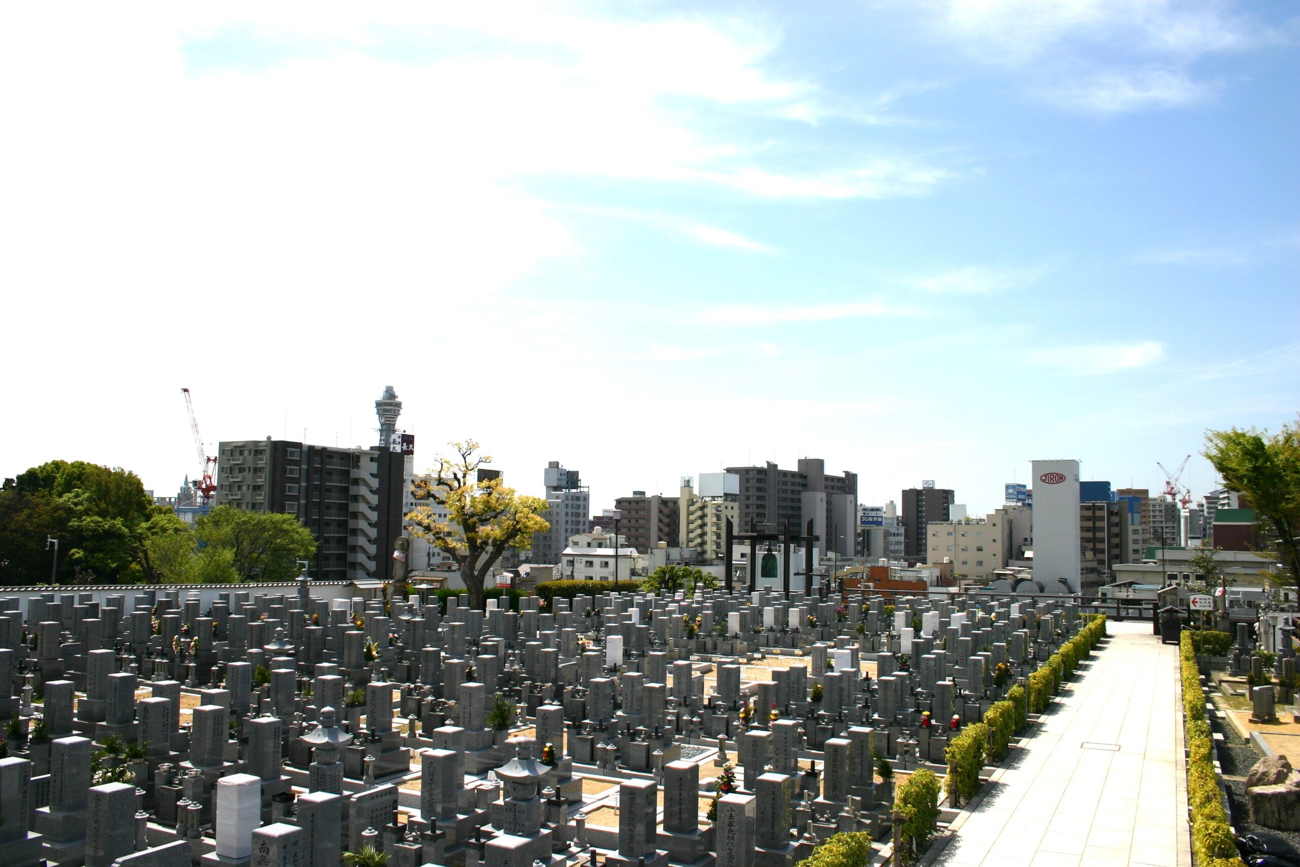 青空の下に広がる清水寺の広大な墓地と都会のビル群