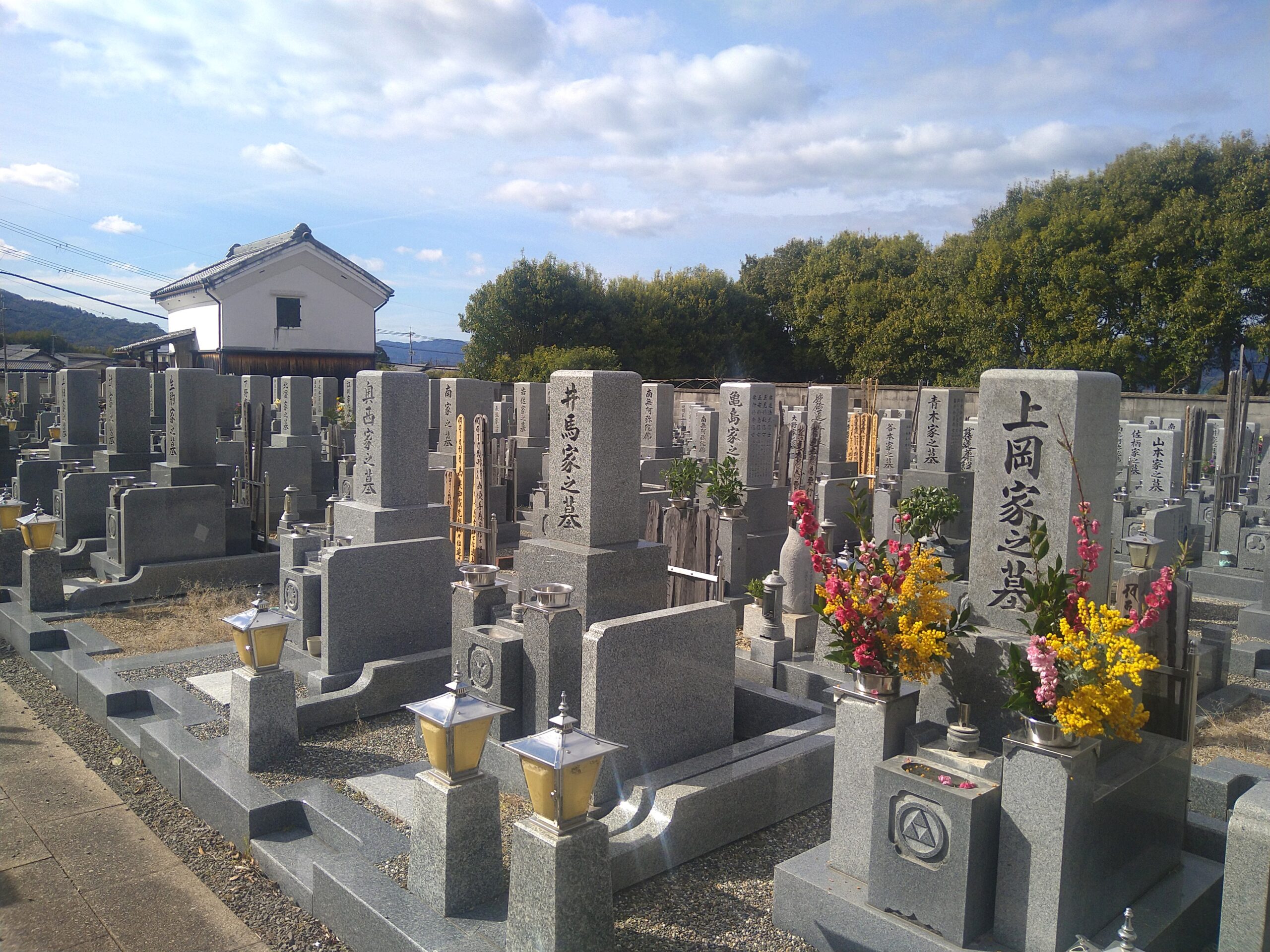 色鮮やかな供花が供えられた、手入れの行き届いた和型の墓石群