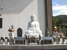 霊園を見守るように設置された、白く穏やかな表情の釈迦如来坐像
