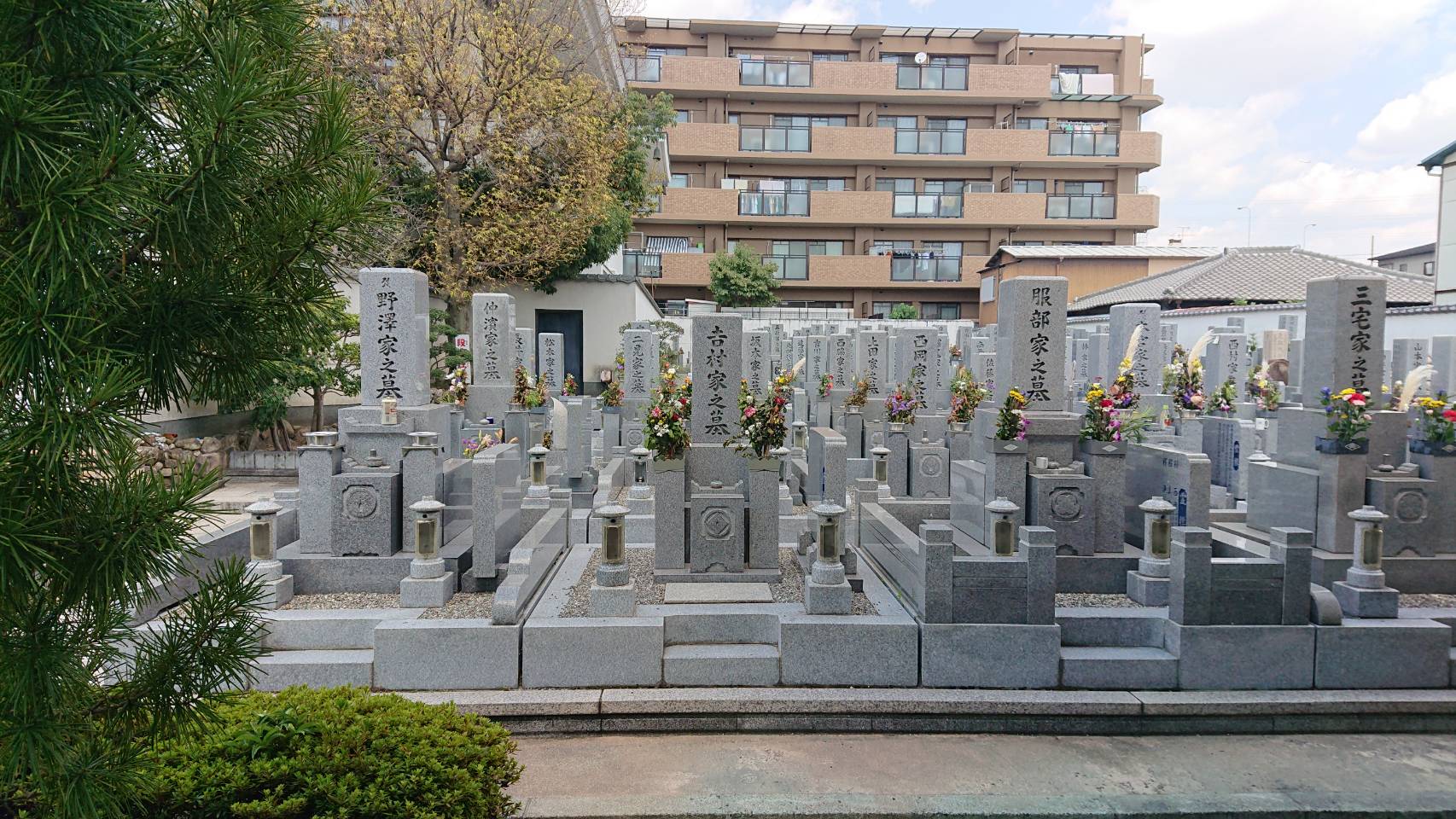 伝統的な和型墓石が整然と並ぶ、手入れの行き届いた寺院の墓地