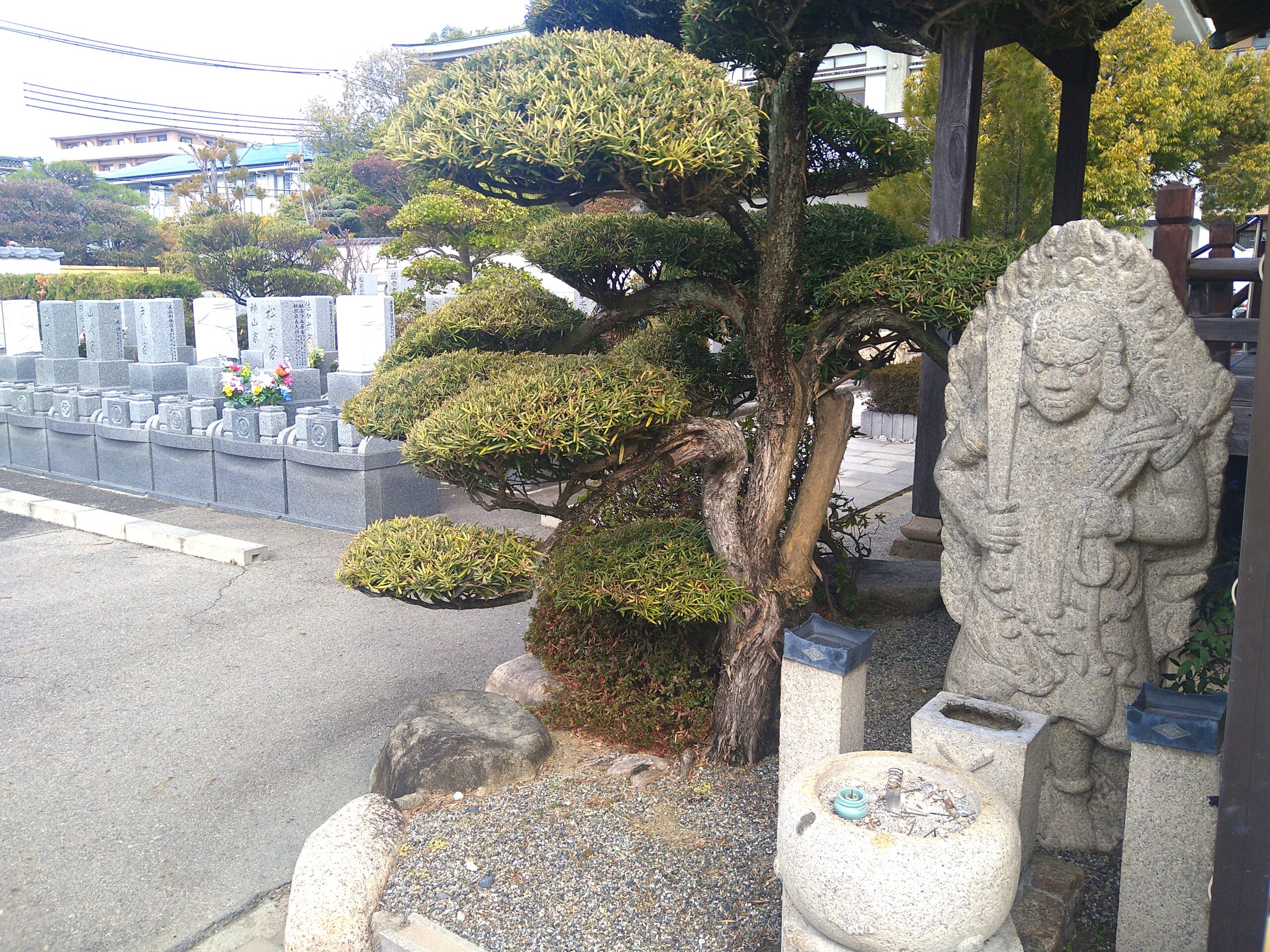 段造りの松の木と剣を持つ不動明王の石像